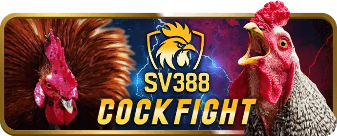 Bước 1: Truy cập trang web